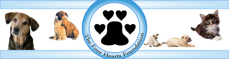 Four Hearts Foundation