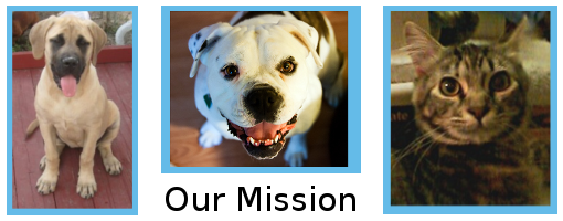 Four Hearts Mission Image